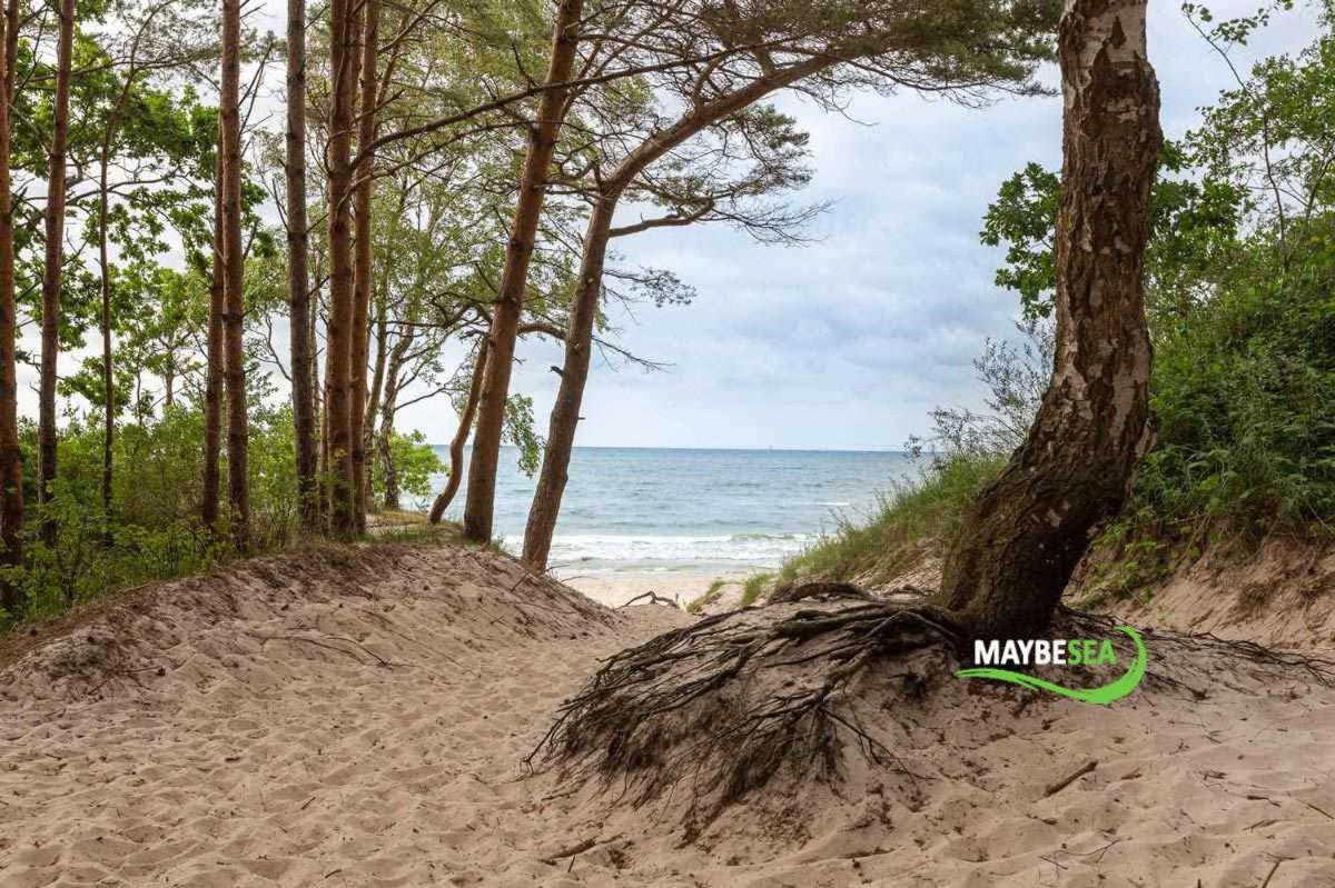 Maybesea Polanki Park Premium Kołobrzeg Eksteriør bilde